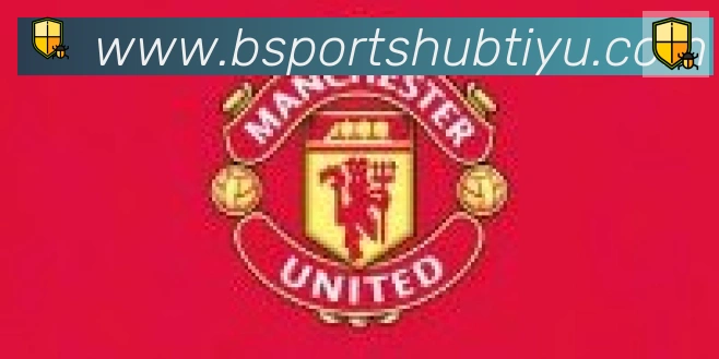 Bsports官网合作伙伴